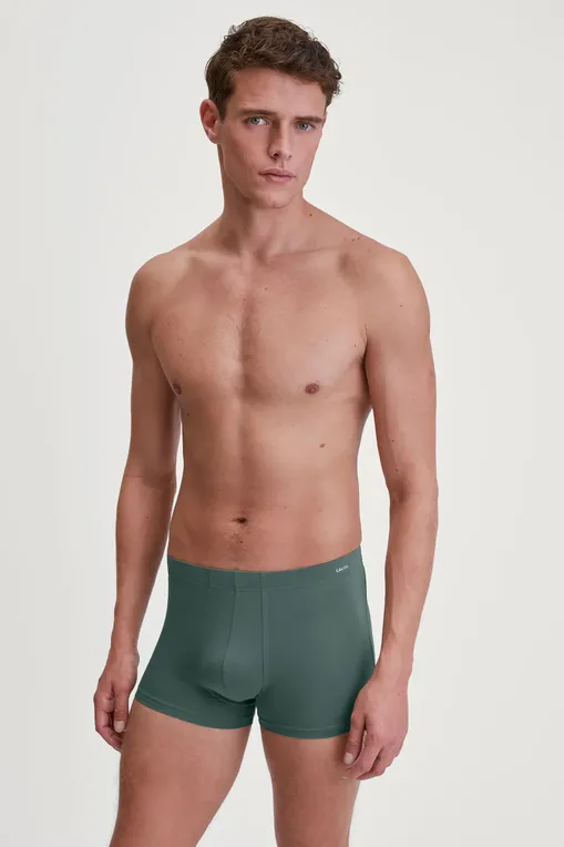 Трусы Calida 26618 549 dark glen