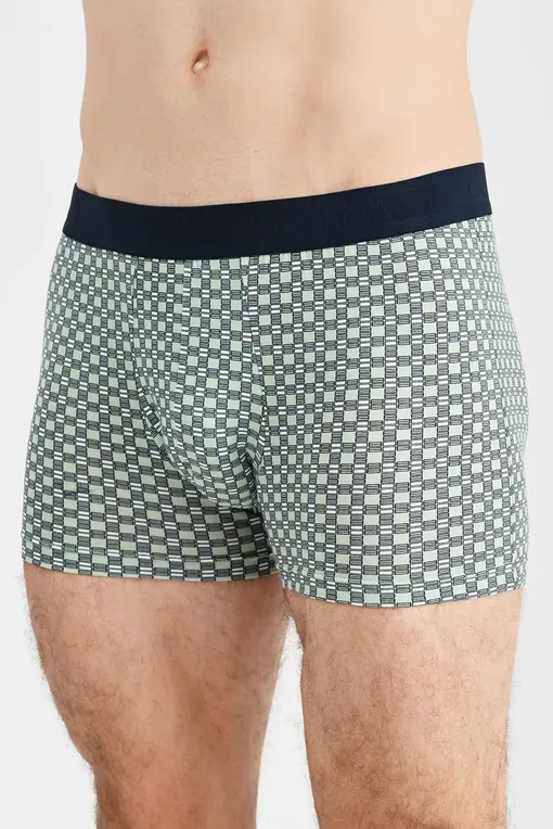 Трусы Calida 26688 613 iris green