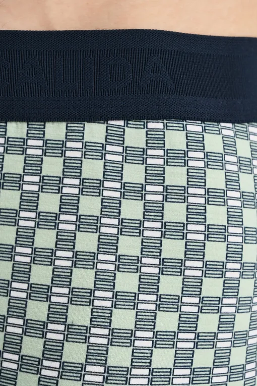 Трусы Calida 26688 613 iris green