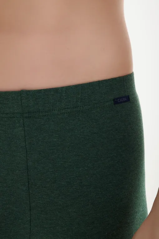Трусы Calida 26973 768 dark glen mele