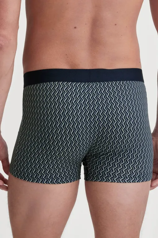 Трусы Calida 26980 669 loden frost