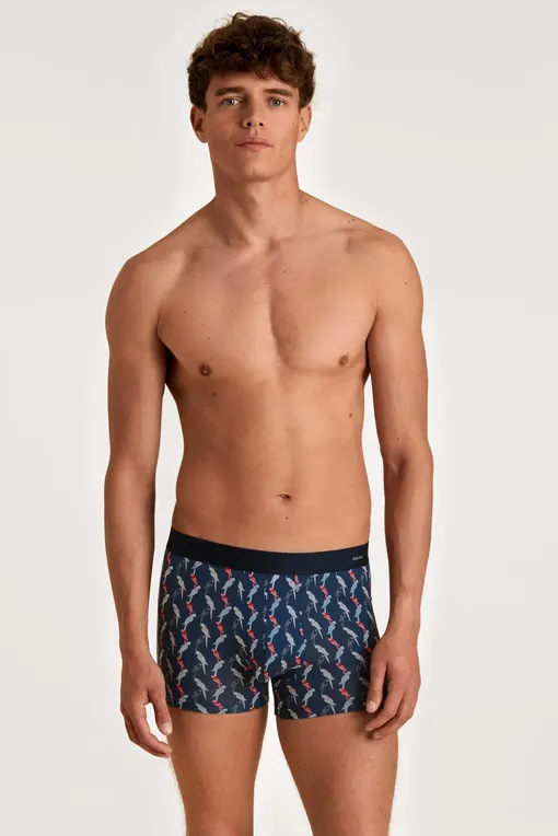 Трусы Calida 26980 976 ultimate grey