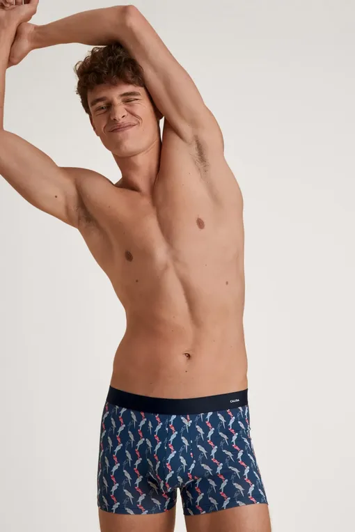 Трусы Calida 26980 976 ultimate grey