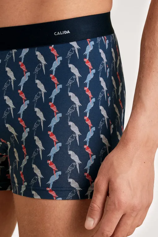 Трусы Calida 26980 976 ultimate grey