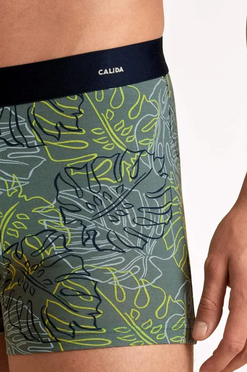 Трусы Calida 26980 618 laurel green