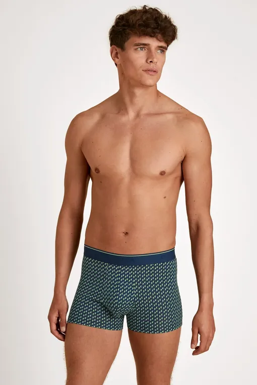 Трусы Calida 26983 613 iris green