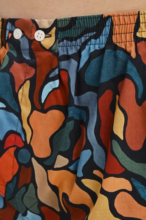 Трусы Derek Rose 6000-LEDB 061MUL