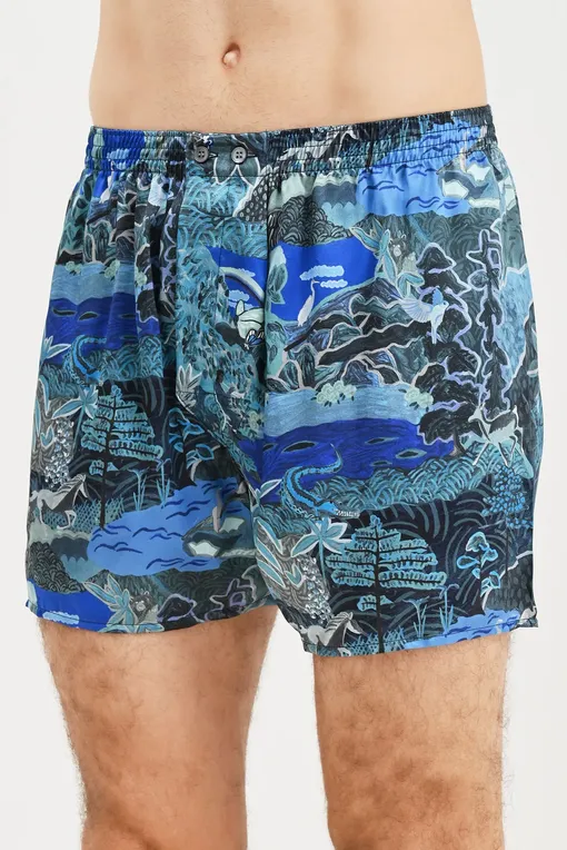 Трусы Derek Rose 6030-BRIN 086MUL