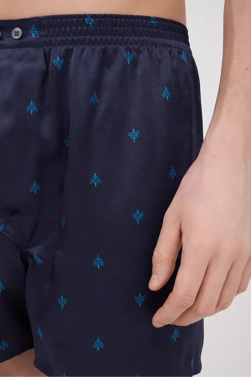 Трусы Derek Rose 6030-BRIN 106NAV