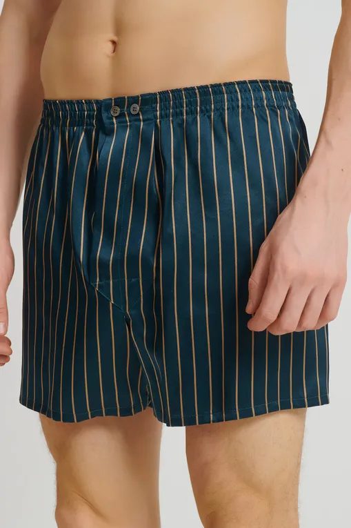 Трусы Derek Rose 6030-BRIN 113gre