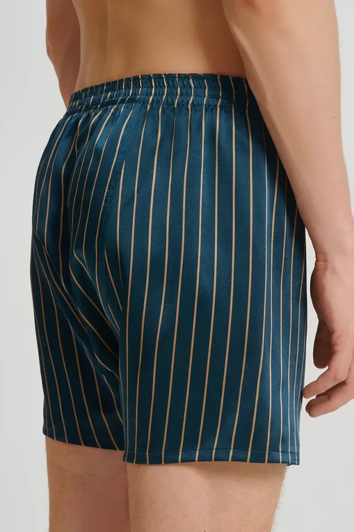 Трусы Derek Rose 6030-BRIN 113gre