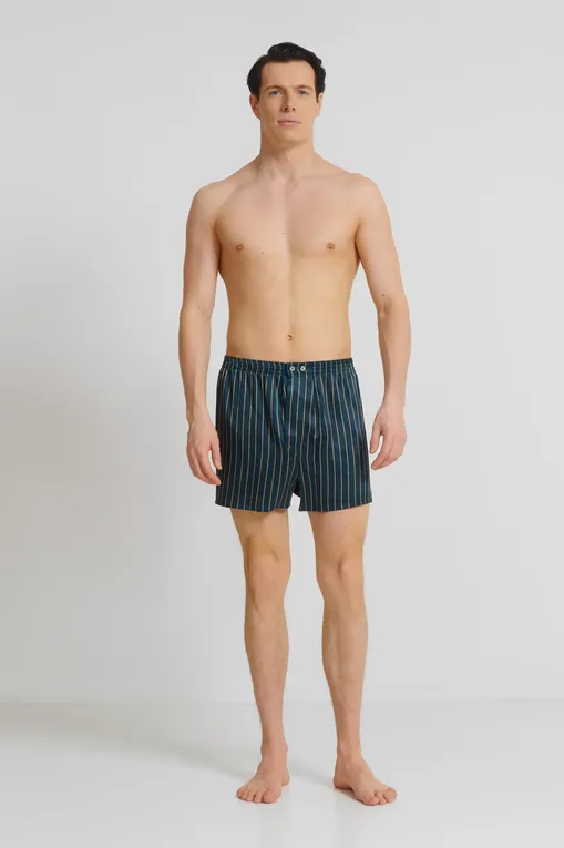 Трусы Derek Rose 6030-BRIN 113gre