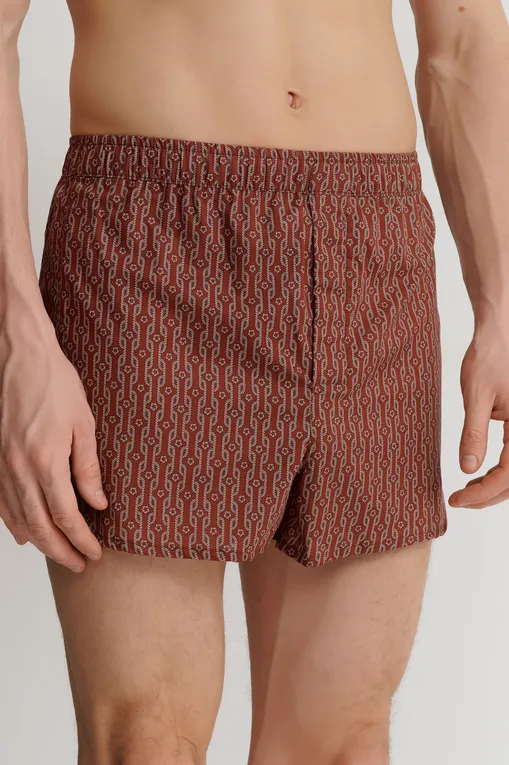 Трусы Derek Rose 6050-NELS 103red