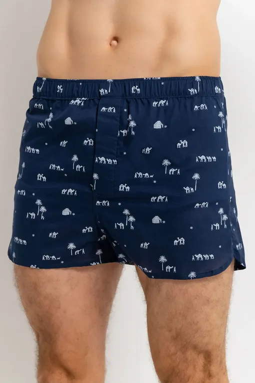 Трусы Derek Rose 6050-NELS 099NAV