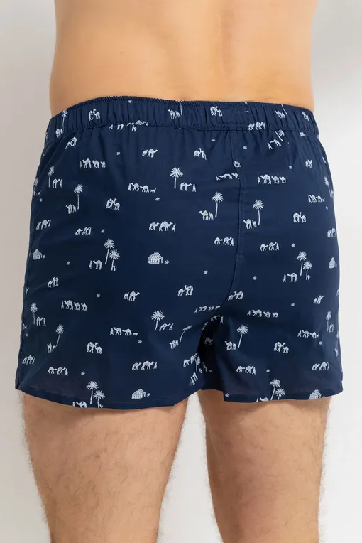 Трусы Derek Rose 6050-NELS 099NAV