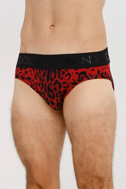 Трусы Dolce&Gabbana M3D33JFSGZH HRTYN