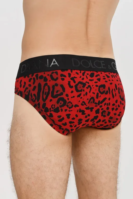 Трусы Dolce&Gabbana M3D33JFSGZH HRTYN