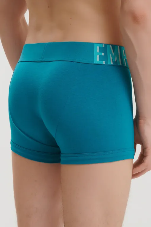 Трусы Emporio Armani EM000231AF10772 U9187