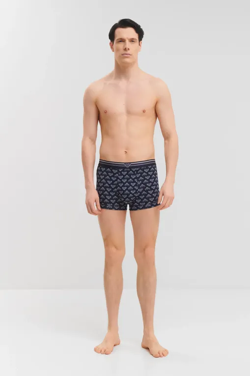 Трусы Emporio Armani EM000231AF10793 FB107