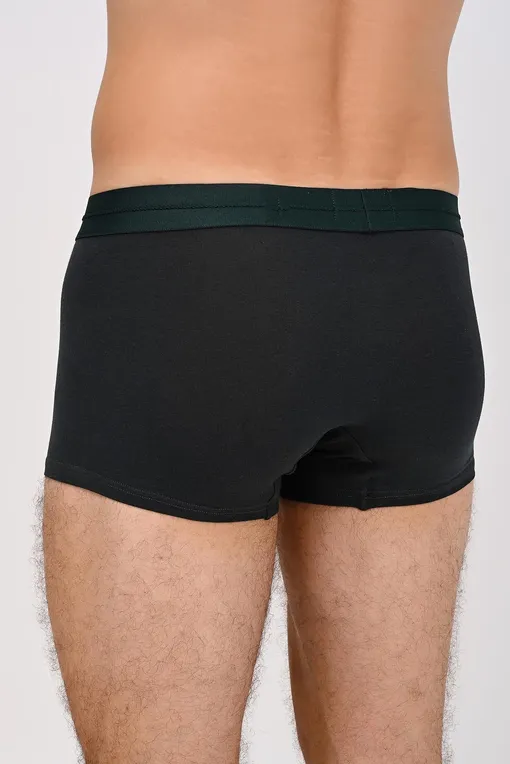 Трусы Ermenegildo Zegna N3LC61290 302