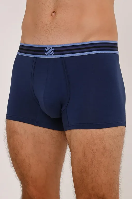 Трусы Ermenegildo Zegna N3LC61400 422