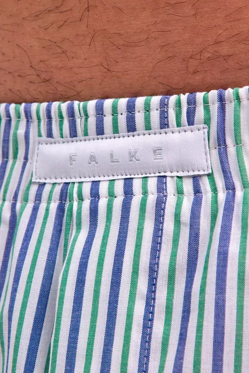 Трусы Falke 68045 0752 green mix