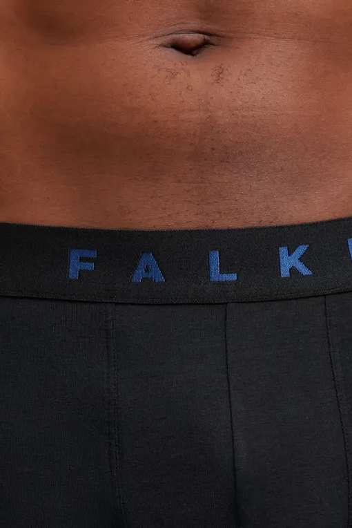 Трусы Falke 68103 0020 sortiment