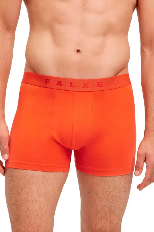Трусы Falke 68103 0050 sortiment