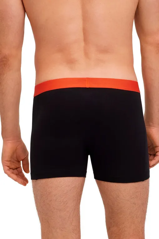 Трусы Falke 68103 0050 sortiment