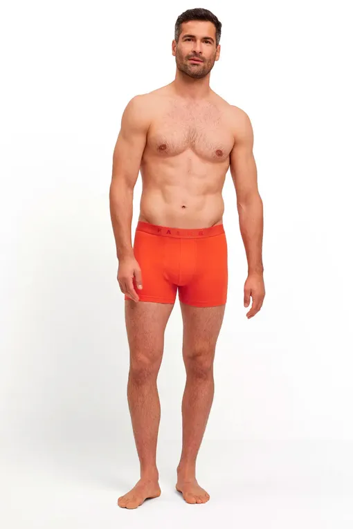 Трусы Falke 68103 0050 sortiment