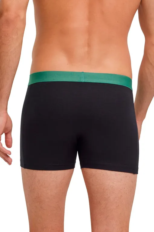 Трусы Falke 68103 0060 sortiment