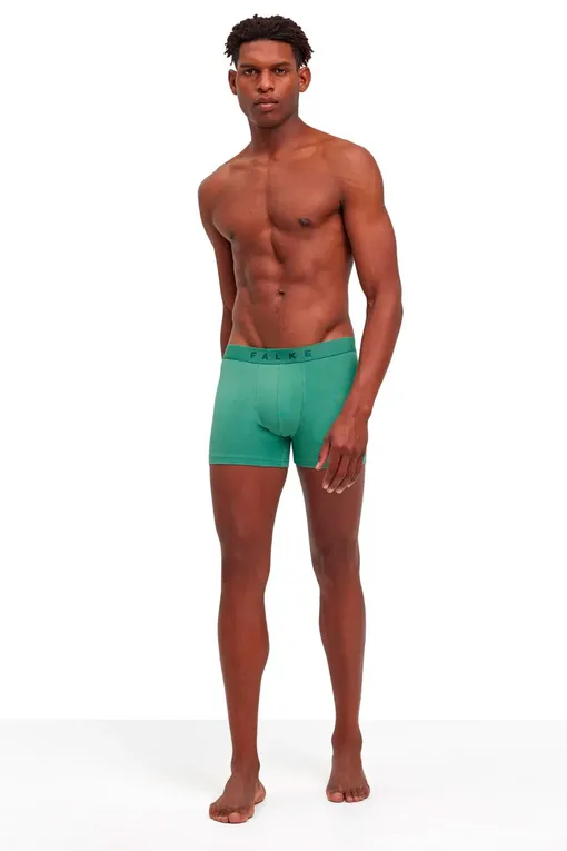 Трусы Falke 68103 0060 sortiment