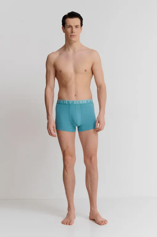 Трусы Guess U4YF00KCD31 G7R3