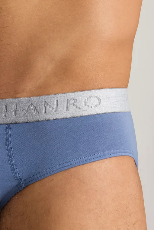 Трусы Hanro 073075 2870