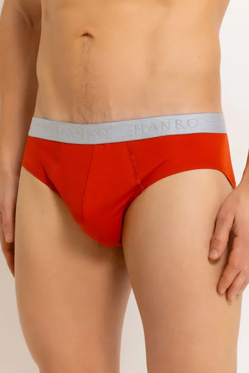 Трусы Hanro 073075 2896