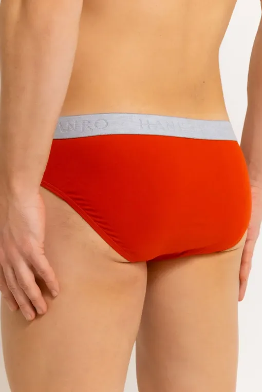 Трусы Hanro 073075 2896