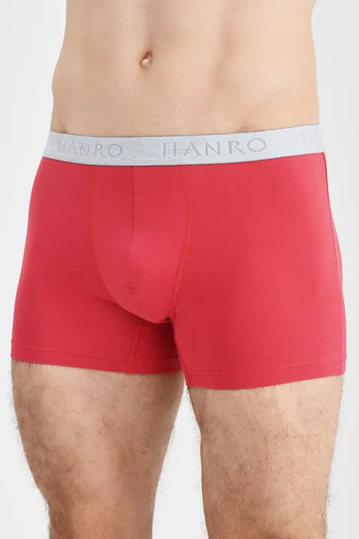 Трусы Hanro 073078 2363