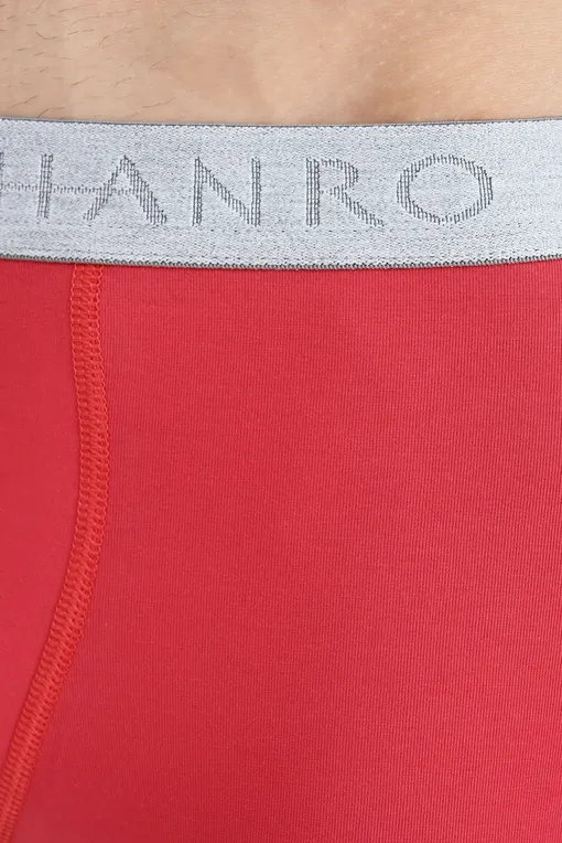 Трусы Hanro 073078 2363
