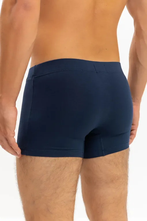 Трусы Hanro 073079 2870