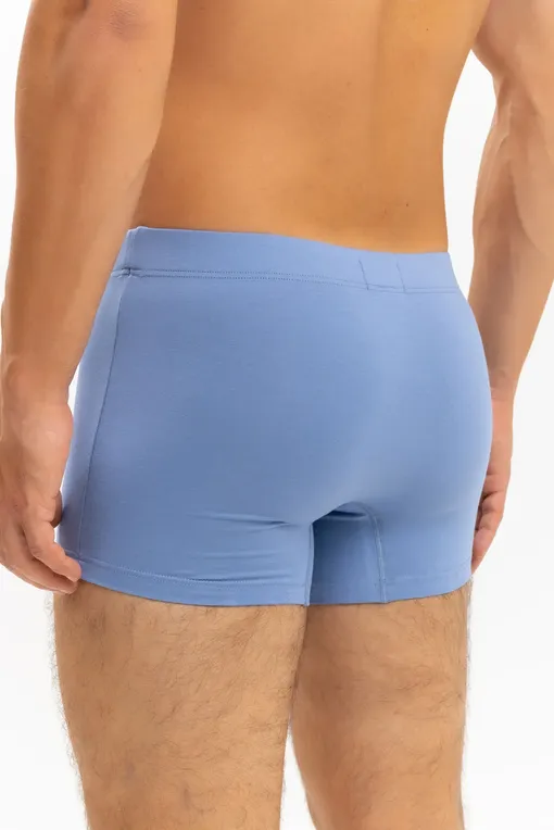 Трусы Hanro 073079 2870