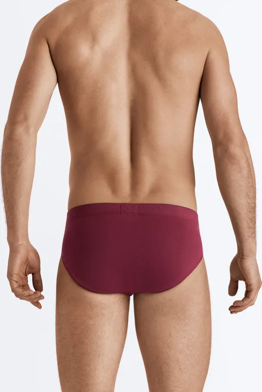 Трусы Hanro 073085 1450