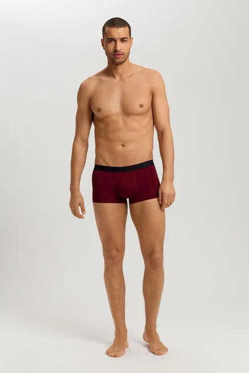 Трусы Hanro 073107 2443