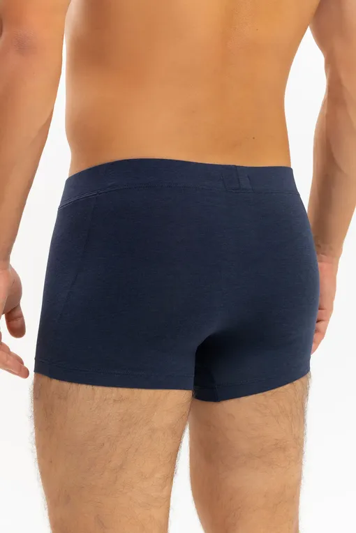 Трусы Hanro 073181 1610