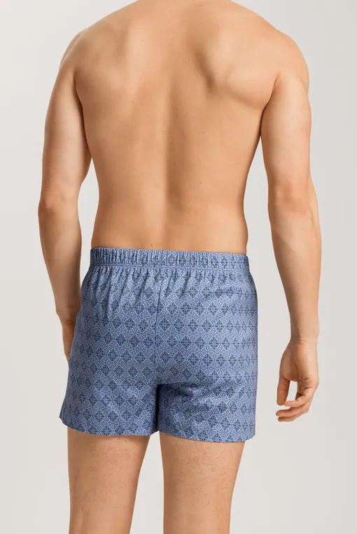 Трусы Hanro 073290 2885