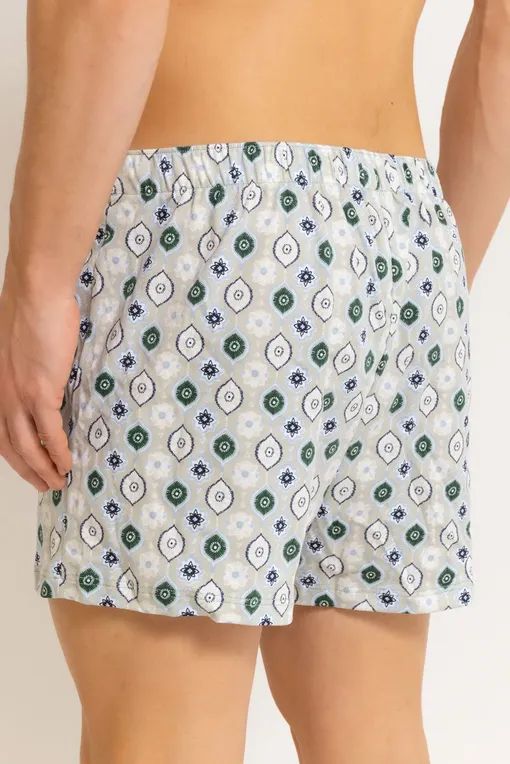 Трусы Hanro 073290 1234