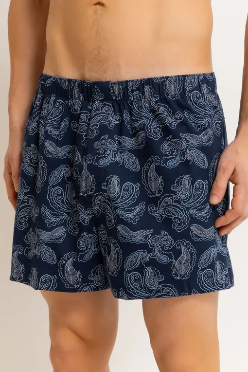 Трусы Hanro 073290 2381