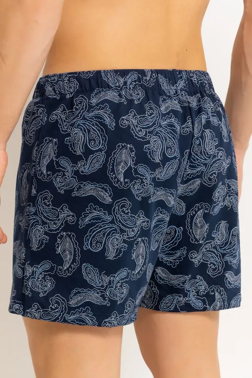 Трусы Hanro 073290 2381