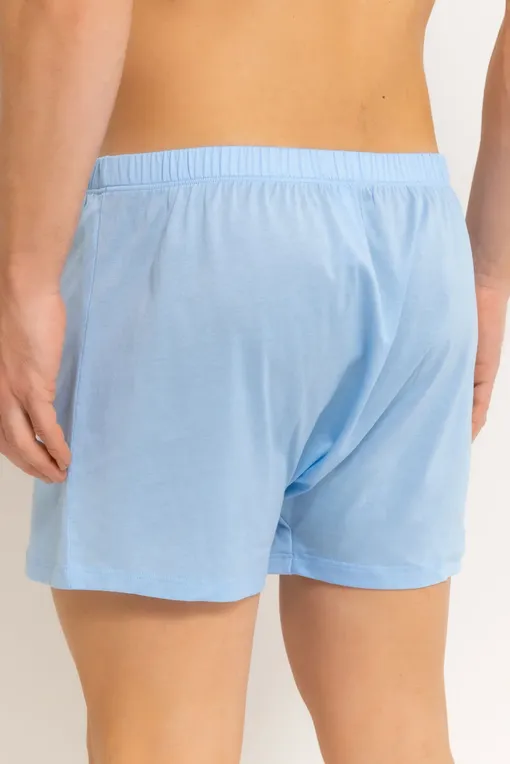 Трусы Hanro 073505 2531