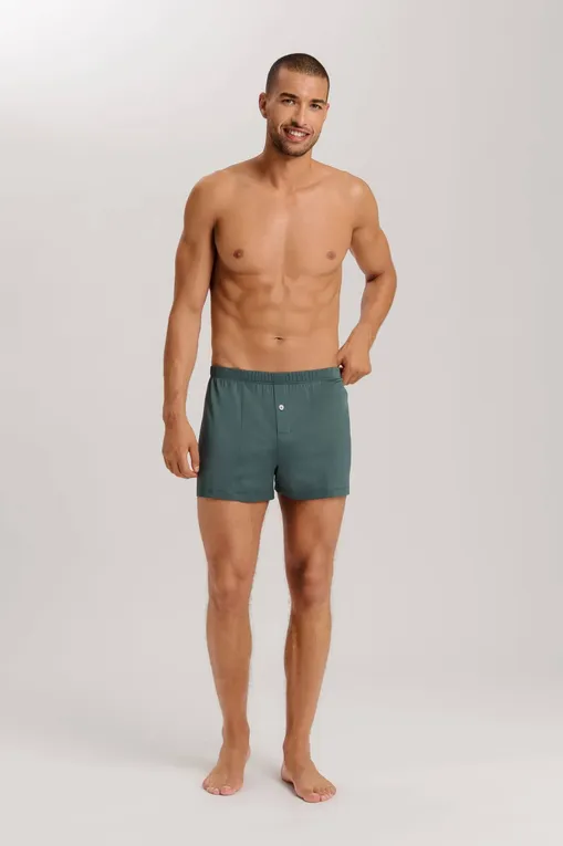 Трусы Hanro 073505 2741