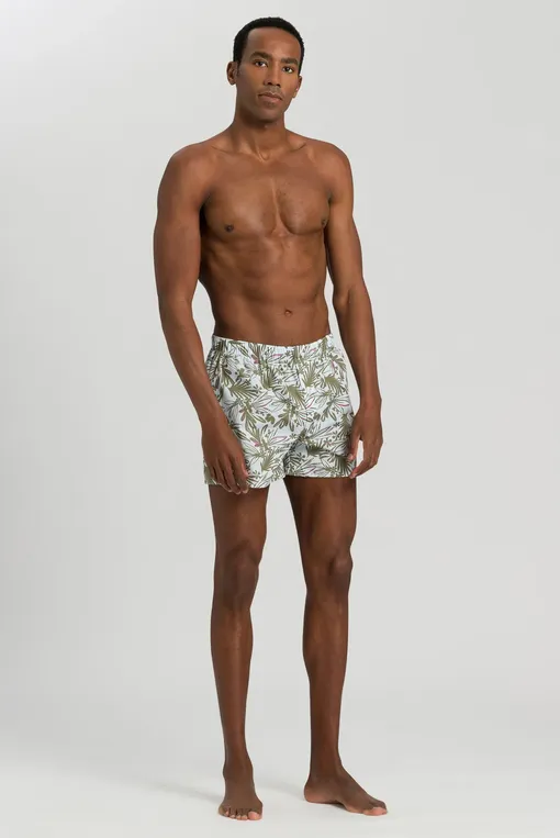 Трусы Hanro 074013 2964